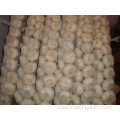 Best Quality Pure White Garlic Braids